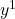 y^1