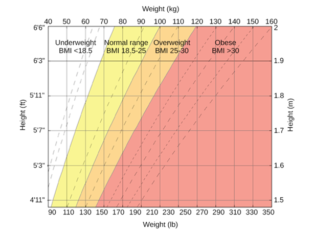 Chart depicting body mass index by an individual's height and weight.