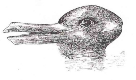 Gestalt image that can either look like a duck or a rabbit