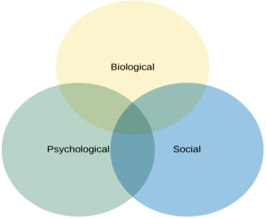 Three circles overlap in the middle. The circles are labeled Biological, Psychological, and Social.