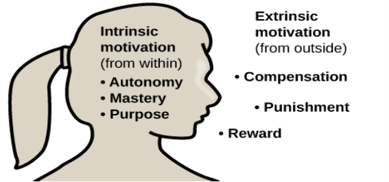 An illustration shows a person’s upper torso. Inside the person's head are the words “intrinsic motivation (from within)” and three bullet points: “autonomy,” “mastery,” “purpose.” Outside the person's outline are the words “extrinsic motivation (from outside)” and three bullet points: “compensation,” “punishment,” and “reward.”