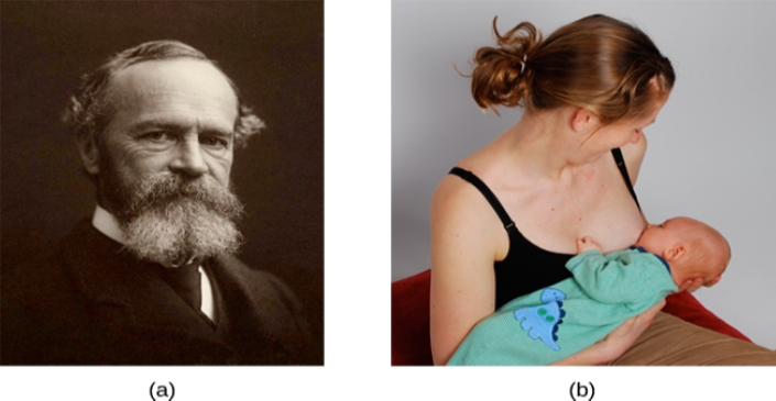 Photograph A shows William James. Photograph B shows a person breastfeeding a baby.