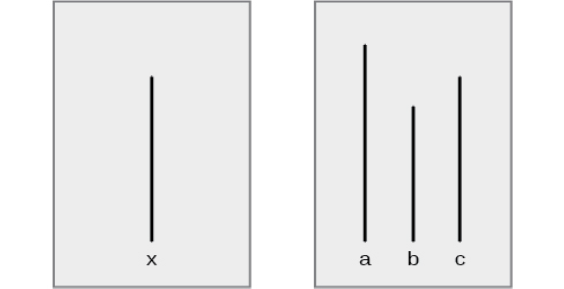 A drawing has two boxes: in the first is a line labeled “x” and in the second are three lines of different lengths from each other, labeled “a,” “b,” and “c.”