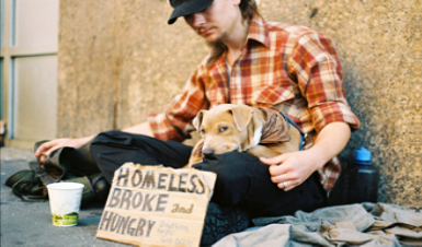 A photograph shows a homeless person and a dog sitting on a sidewalk with a sign reading, “homeless, broke, and hungry.”