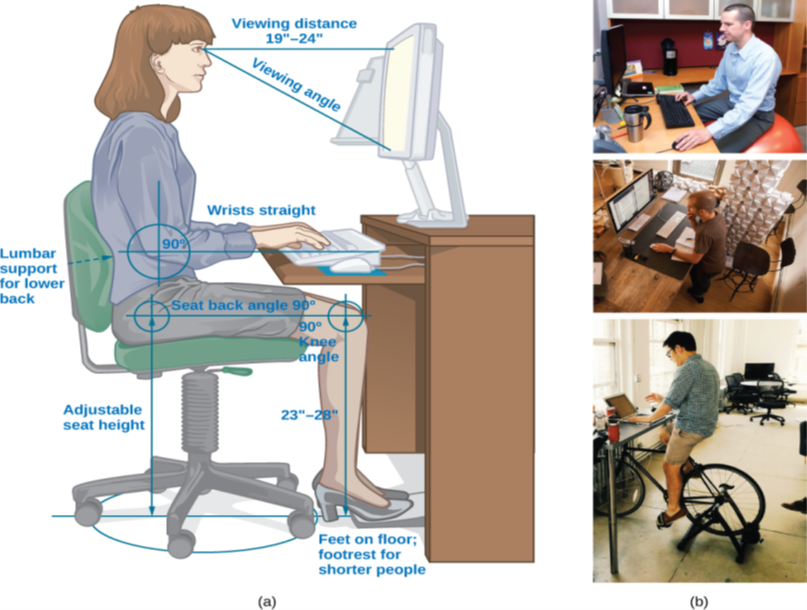 “The figure includes an illustration that shows a person seated at a desk. Measurements are provided showing the proper distance and angle from work equipment. The labels are as follows: Viewing distance from head to monitor should be 19–24 inches.” For the viewing angle, the eyes should be about level with the top of the screen. The chair should provide lumbar support for the lower back. The forearm and upper arm should be at a 90 degree angle, with wrists straight over the keyboard. The seat back angle should also be 90 degrees, as should the angle of the bend of the knees. The top of the knees should be between 23 and 28 inches from the floor. If this distance cannot be met due to short stature, a footrest should be used below the feet. The seat should have an adjustable height to help in posturing oneself according to these suggested angles and distances. The figure also includes three photos that show different workspaces. The first photo shows a man sitting on an exercise ball at a desk. The second photo shows a man standing at a desk. The third photo shows a man riding a stationary bicycle at his desk.