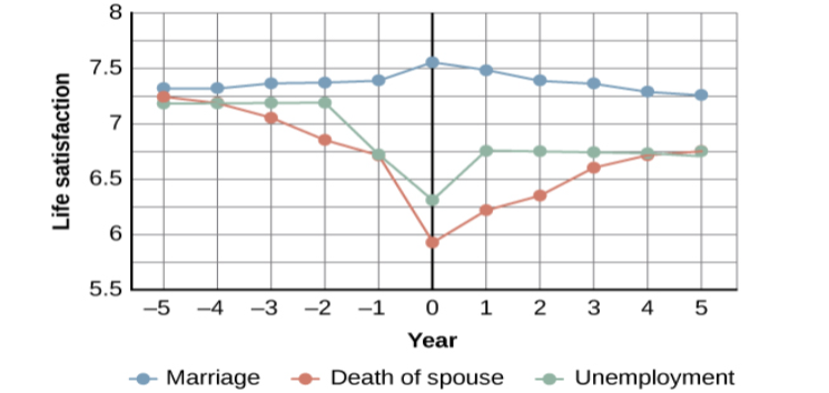 A chart compares life satisfaction scores in the years before and after significant life events. Life satisfaction is steady in the five years before and after marriage. There is a gradual incline that peaks in the year of marriage and declines slightly in the years following. With respect to unemployment, life satisfaction five years before is roughly the same as it is with marriage at that time, but begins to decline sharply around 2 years before unemployment. One year after unemployment, life satisfaction has risen slightly, but then becomes steady at a much lower level than at five years before. With respect to the death of a spouse, life satisfaction five years before is about the same as marriage at that time, but steadily declines until the death, when it starts to gradually rise again. After five years, the person who has suffered the death of a spouse has roughly the same life satisfaction as the person who was unemployed.