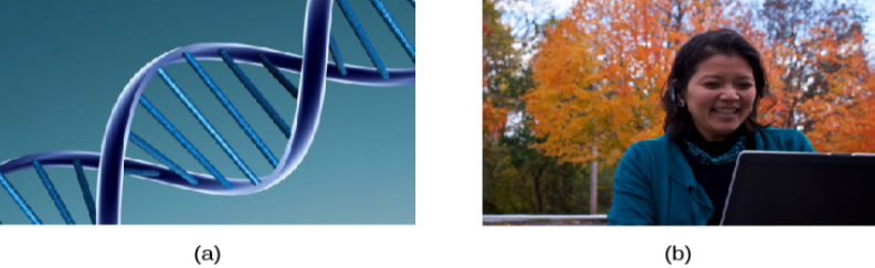 Image (a) shows the helical structure of DNA. Image (b) shows a person’s face.