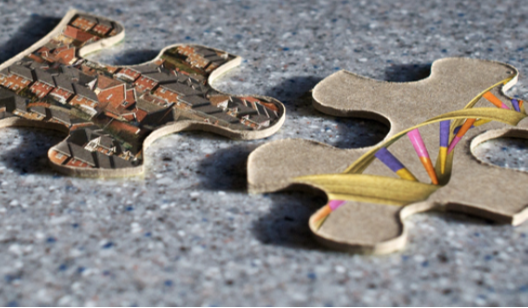 Two jigsaw puzzle pieces are shown; one depicts images of houses, and the other depicts a helical DNA strand.
