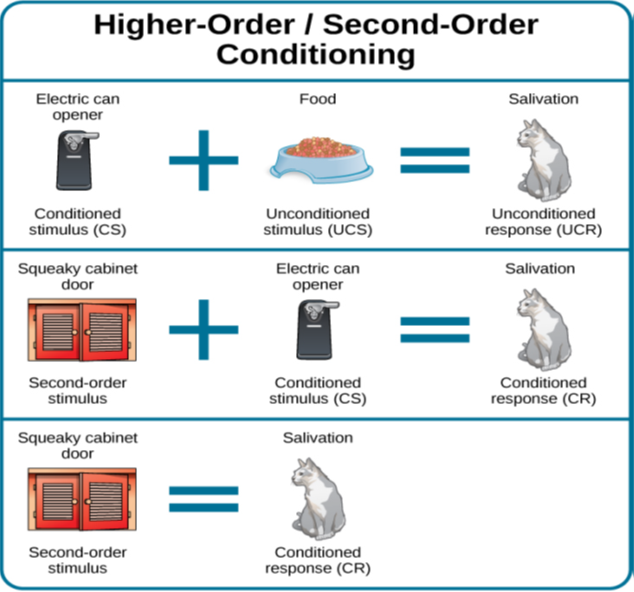 A diagram is labeled “Higher-Order / Second-Order Conditioning” and has three rows. The first row shows an electric can opener labeled “conditioned stimulus” followed by a plus sign and then a dish of food labeled “unconditioned stimulus,” followed by an equal sign and a picture of a salivating cat labeled “unconditioned response.” The second row shows a squeaky cabinet door labeled “second-order stimulus” followed by a plus sign and then an electric can opener labeled “conditioned stimulus,” followed by an equal sign and a picture of a salivating cat labeled “conditioned response.” The third row shows a squeaky cabinet door labeled “second-order stimulus” followed by an equal sign and a picture of a salivating cat labeled “conditioned response.”