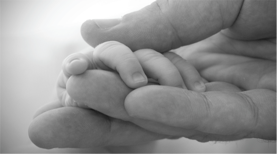 A picture shows two intertwined hands. One is the large hand of an adult, and the other is the tiny hand of an infant. The infant’s entire hand grasp is about the size of a single adult finger.