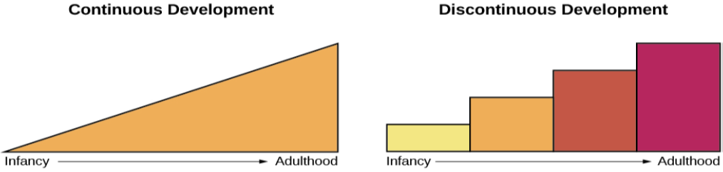 Continuous and Discontinuous development are shown side by side using two separate pictures. The first picture is a triangle labeled “Continuous Development” which slopes upward from Infancy to Adulthood in a straight line. The second picture is 4 bars side by side labeled “Discontinuous Development” which get higher from Infancy to Adulthood. These bars resemble a staircase.