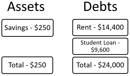 assets is a total of $250 in a savings account. debts are $14,400 annual rent and a $9,600 student loan, for a total of $24,000.