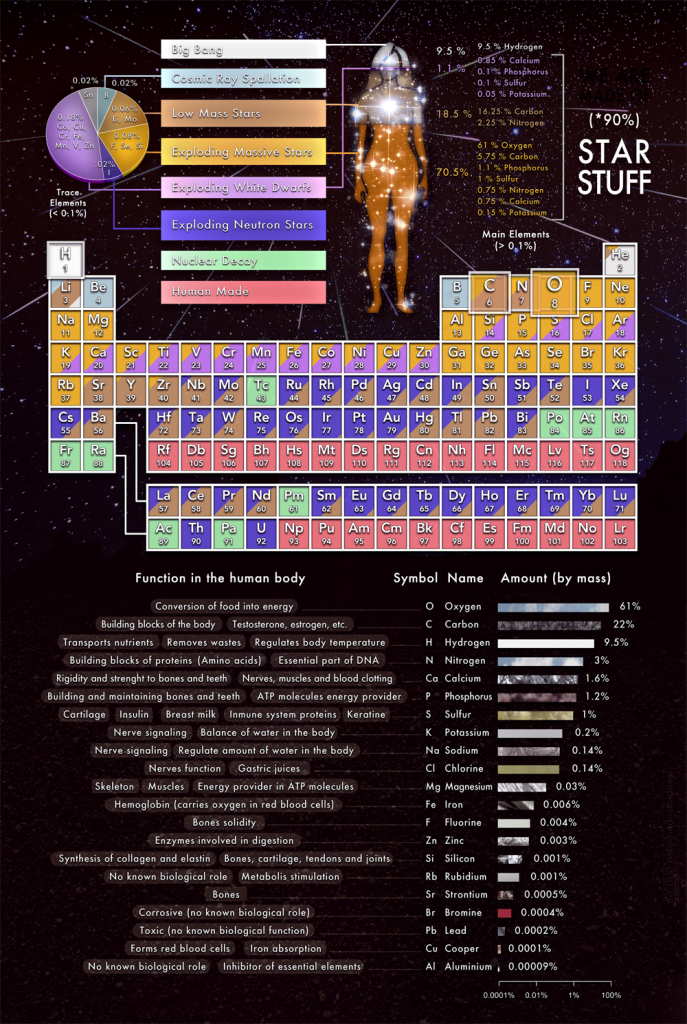 infographic that compares the origin of the elements in the universe to the use of those elements in our bodies.