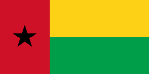 Guinea Bissau flag, yellow, green, red and with a single black star on the left side.