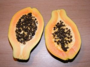 Papaya in halves