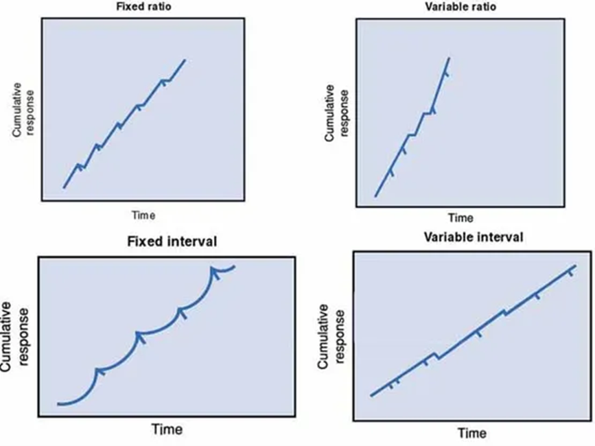 case study infancy development