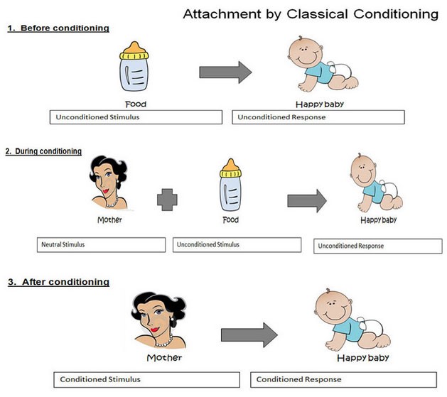 Three sets of pictures showing the how classical conditioning works to form attachment of the mother. The top image is of a baby bottle on the right and a baby on the left. The next set of images down is of a woman, a baby bottle, and a baby, and the third set of images shows the illustration of the same mother and the baby.