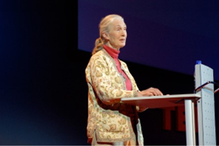 Image of Jane Goodall giving a lecture.