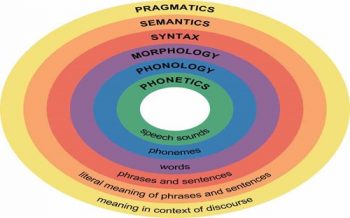 Language Development – Infant and Child Development: From Conception ...