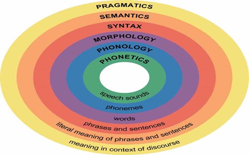 Language Development – Infant and Child Development: From Conception ...