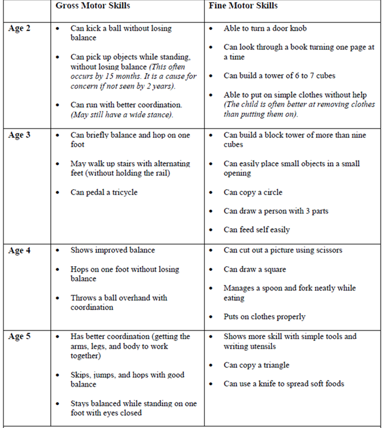 Table describing changes to gross and fine motor skills during development