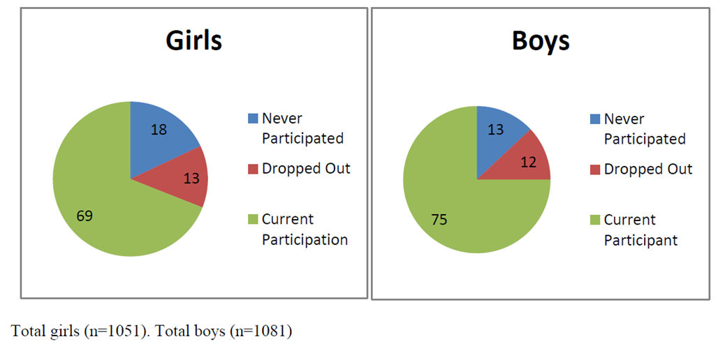 Pie chart illustration percentage of girls versus boys who participate in sports.