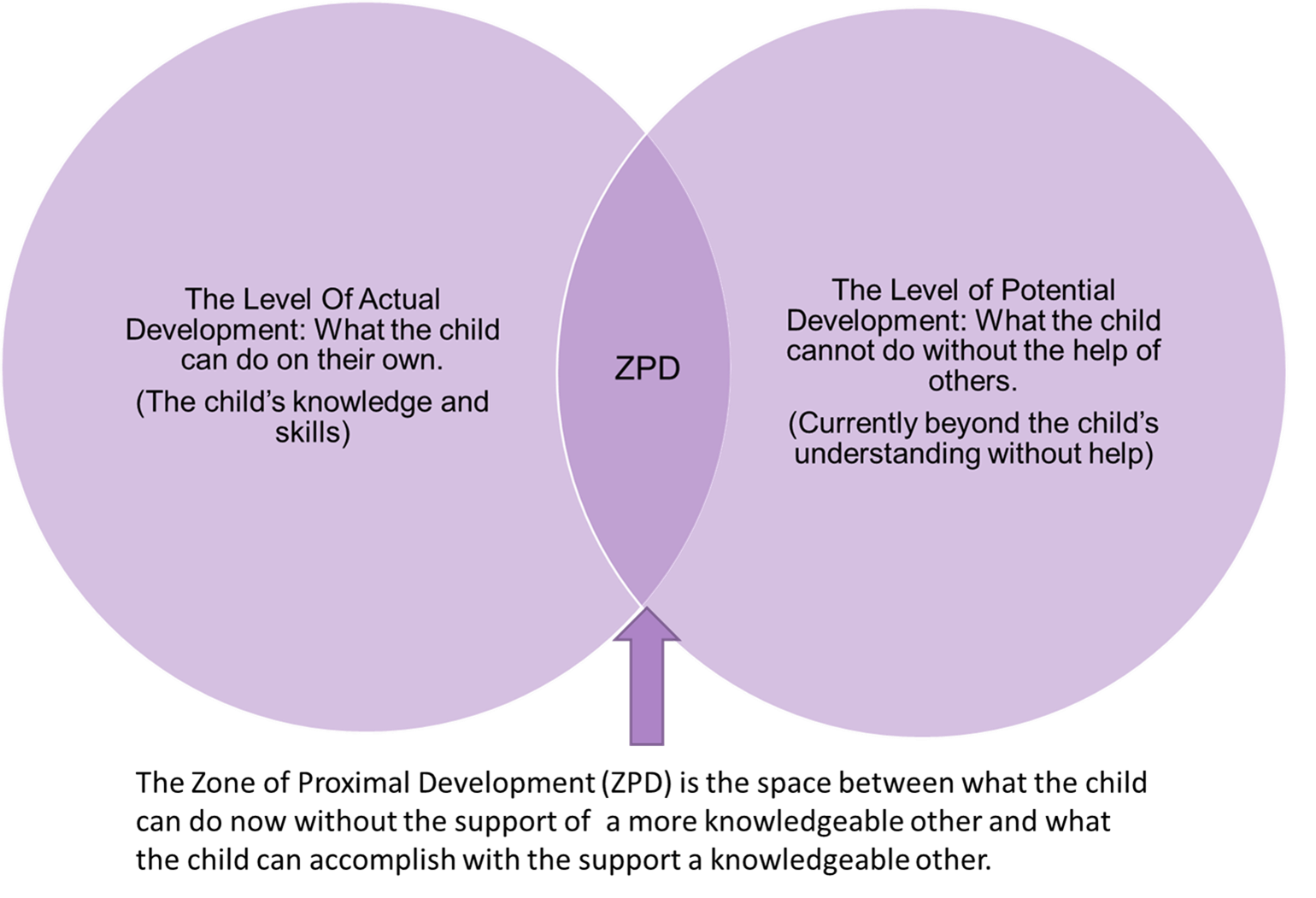 Cognitive Development Piaget and Vygotsky Infant and Child