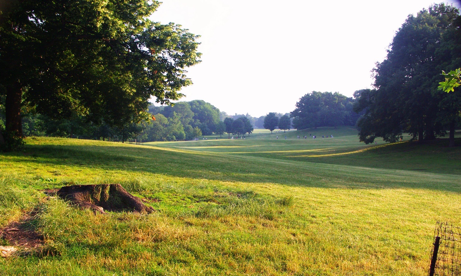 the tree-lined grassy slopes of a meadow seeming to go on forever in the distance