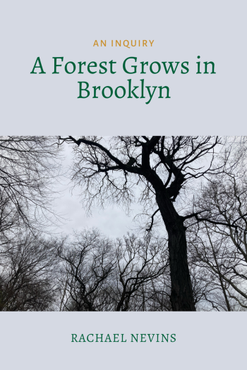 Cover image for A Forest Grows in Brooklyn: An Inquiry