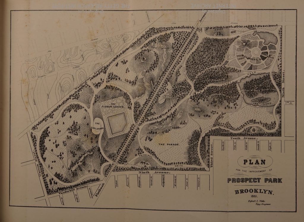 Olmsted and Vaux’s Vision – A Forest Grows in Brooklyn: An Inquiry