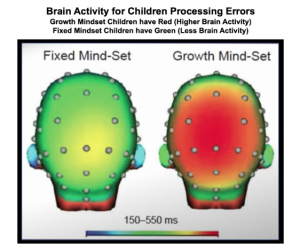 Experimental results labeled "Brain Activity for Children Processing Errors. Growth Mindset Children have Red (Higher Brain Activity). Fixed Mindset Children have Green (Less Brain Activity). Below the label are two human heads. One is mostly shaded red and is labeled "Growth Mind-Set." The other is mostly shaded green and is labeled "Fixed Mind-Set."