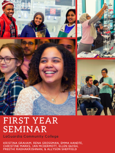 First Year Seminar book cover