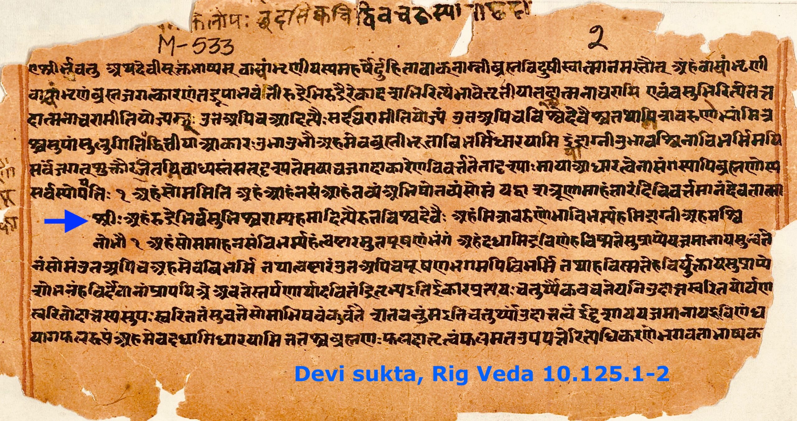 Sanskrit on a torn fragment of manuscript
