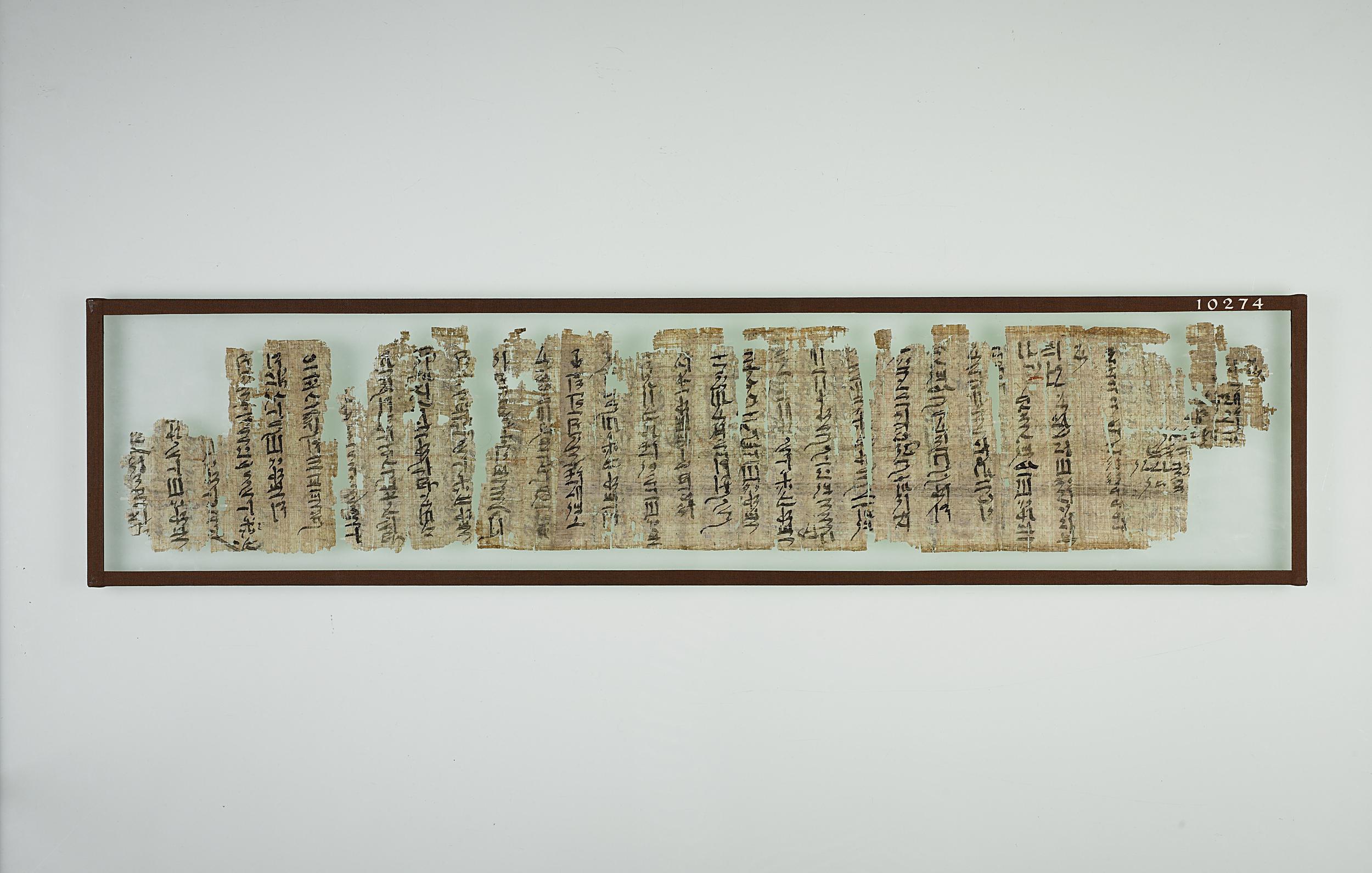 fragments of papyrus with hieratic script
