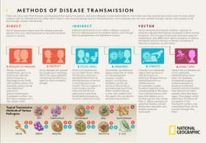 Figure showing methods of disease transmission from direct, to indirect and vector.