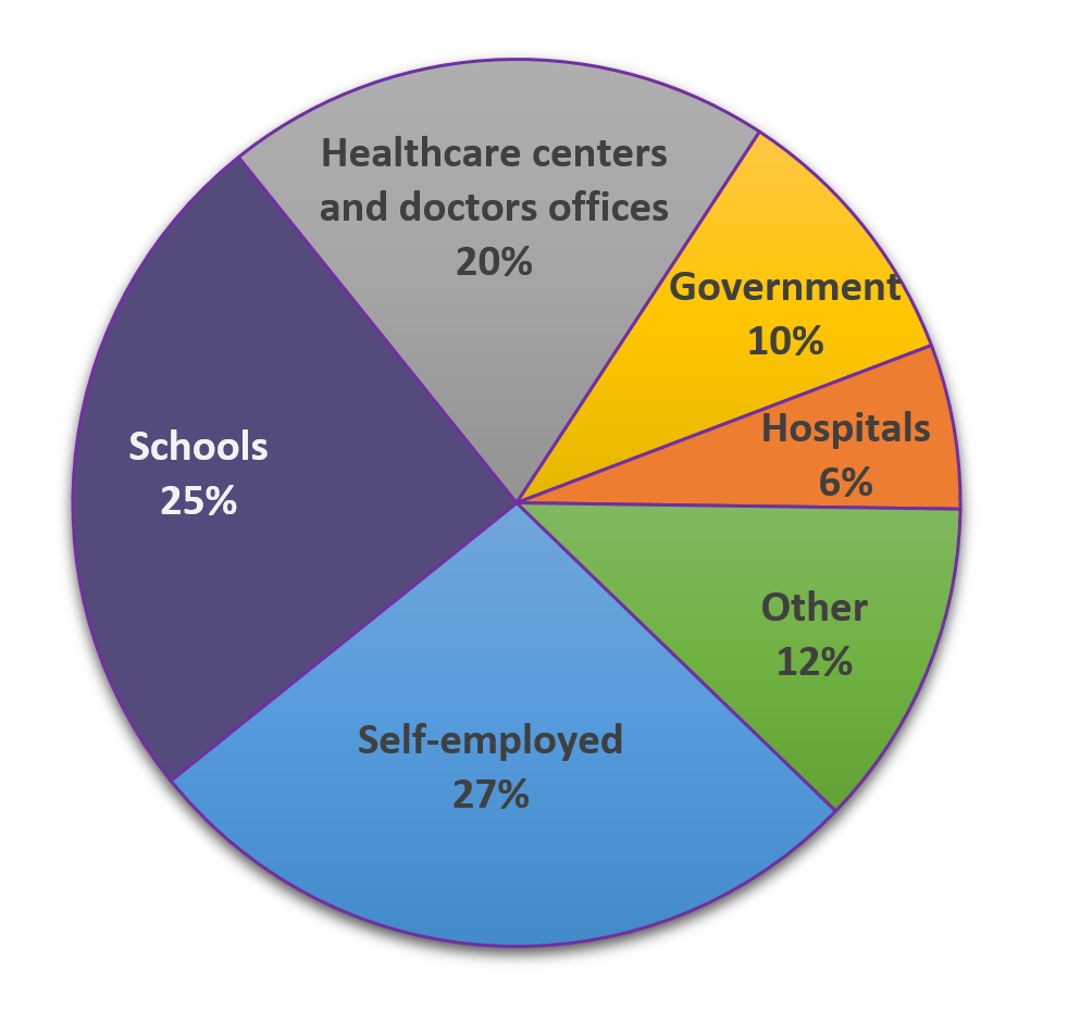 Pie chart with 6 sections: Self-employed (27%); schools (25%); Healthcare centers and doctors offices (20%); Other (12%); Government (10%); Hospitals (6%).