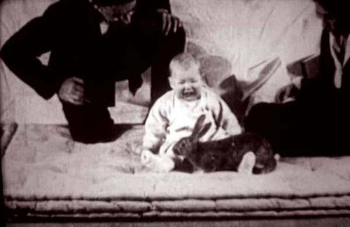 Picture of Little Albert crying with rabbit in front of him. Experimenters (Watson and Lee) are in background of picture observing.