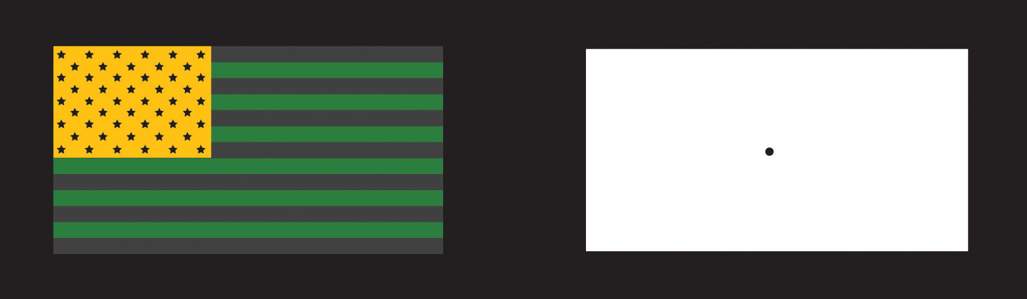 The US Flag example of the tricolor and opponent-process mechanisms