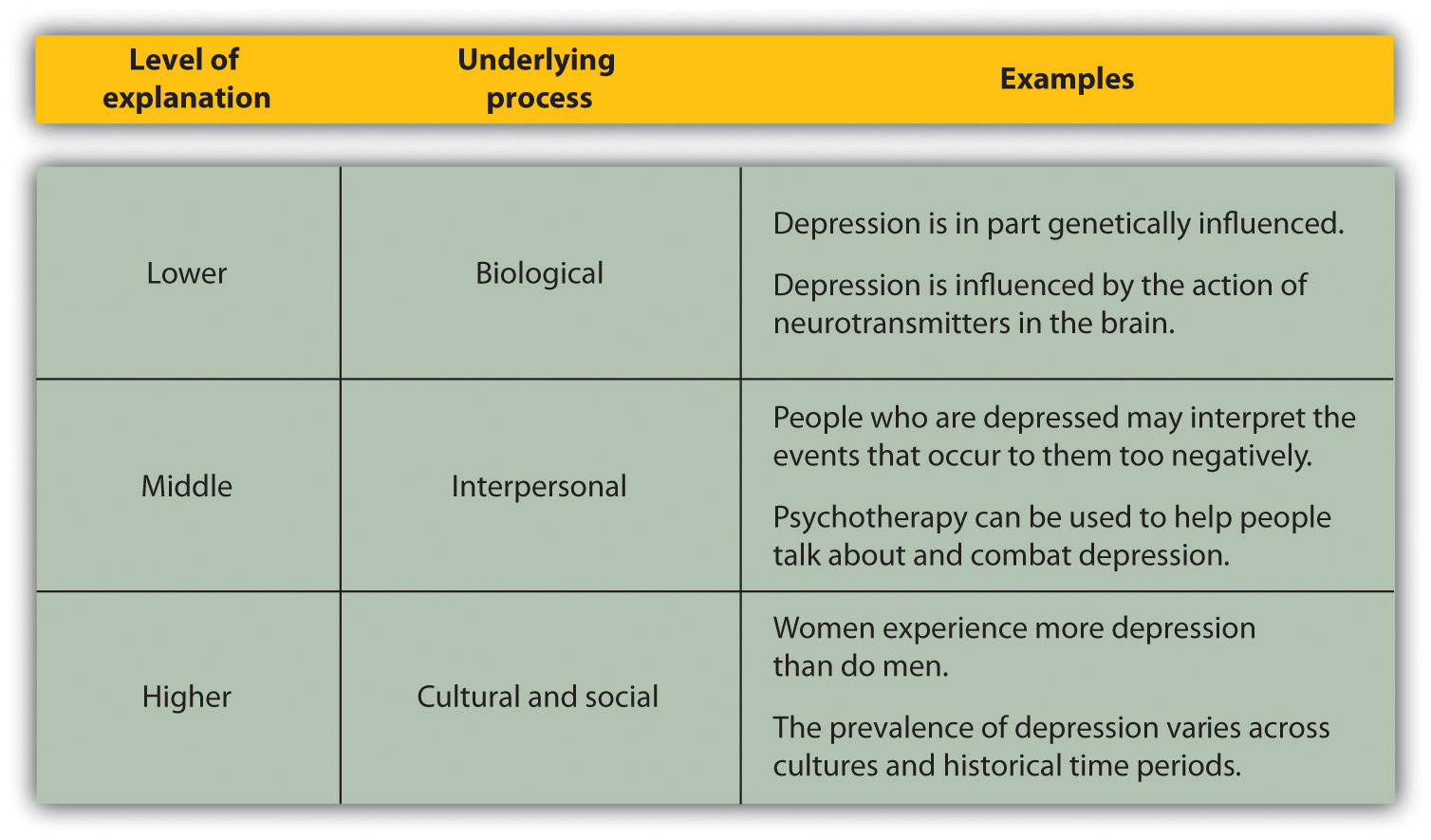 Table showing the levels of Explanation