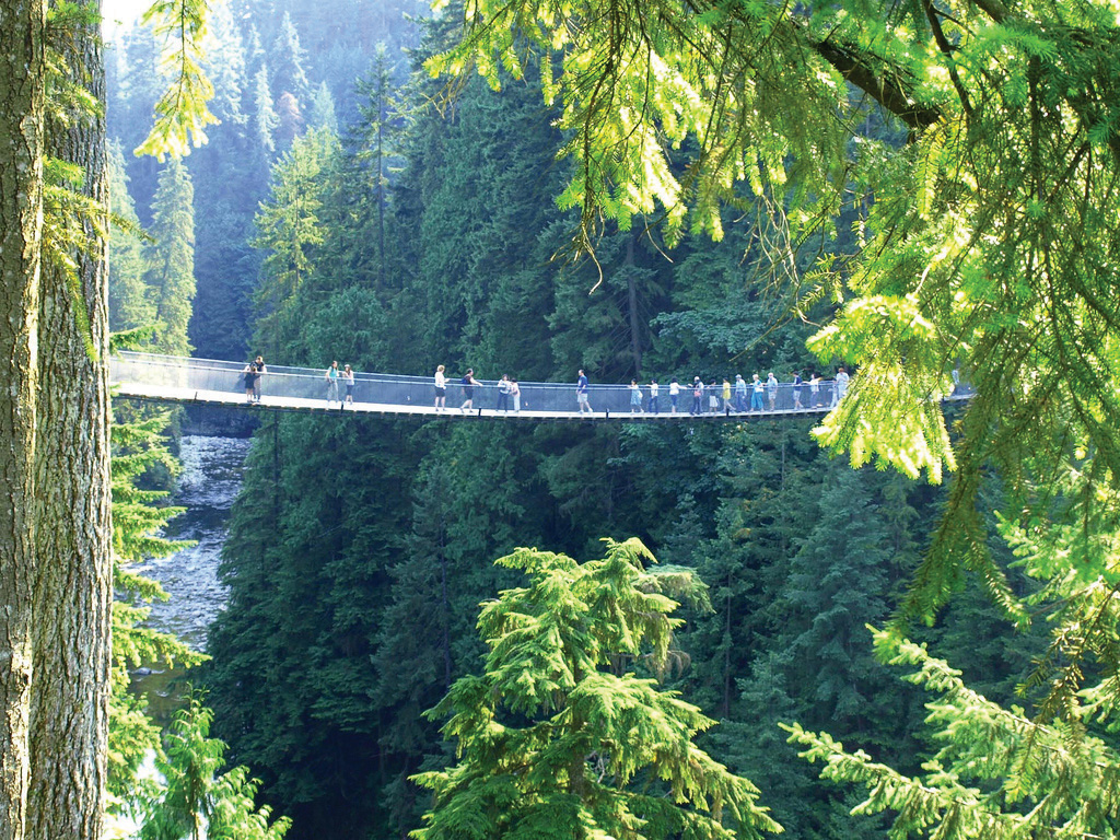 Capilano River Bridge