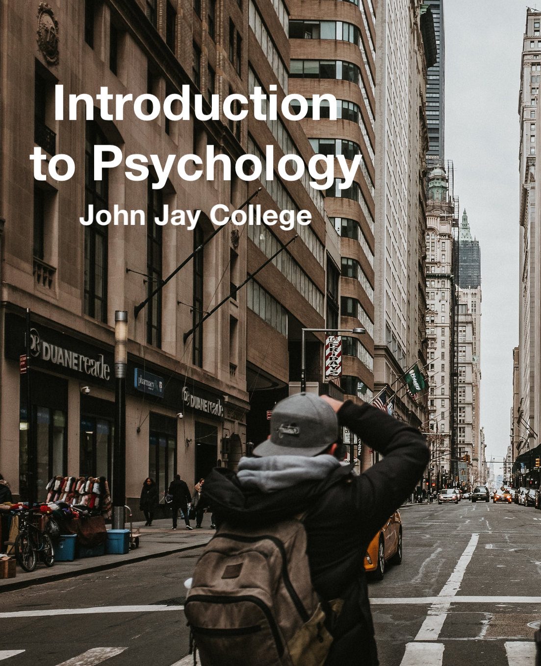 Cover image for Introduction to Psychology