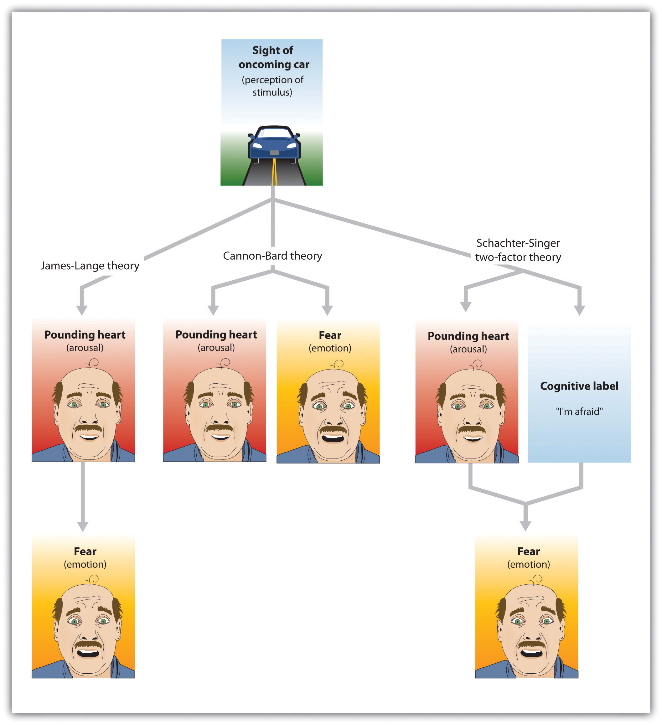 Three Theories of Emotion: The Cannon-Bard theory proposes that emotions and arousal occur at the same time. The James-Lange theory proposes the emotion is the result of arousal. Schachter and Singer’s two-factor model proposes that arousal and cognition combine to create emotion.