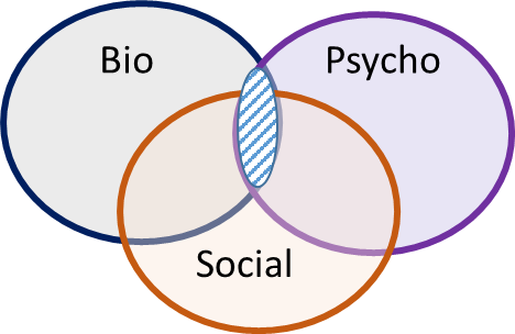 Overlapping circles with Bio, Psycho, and Social written in them.