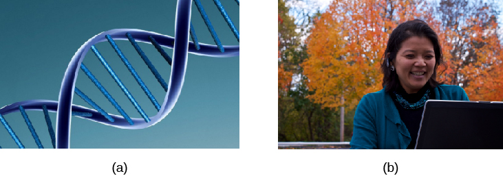 A) DNA double helix representing genes. B) Girl looking at a computer representing phenotype