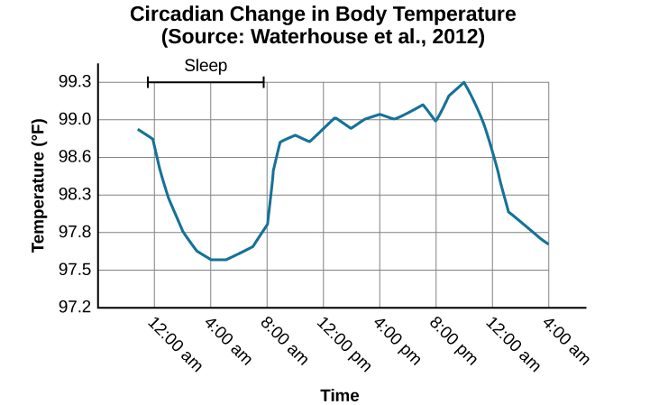 Graph of temperature against time. Shows a drop on body temperature between midnight and 8 am.