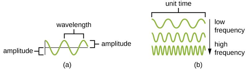 A) shows a wave - the distance between two peaks is labeled as wavelength. The height of the wave is labeled as amplitude. (B) Three waves arranged vertically, the separation between the wave peaks increases with each successive wave from top to bottom. The label on the side indicates that the waves increase in frequency from top to bottom.