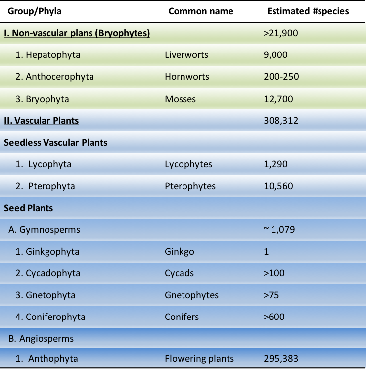 A text box containing seven words: sporophyte, gametophyte, capsule, spores, germination, protonema, and rhizoid. These words are to be used to label the diagram in the next image.