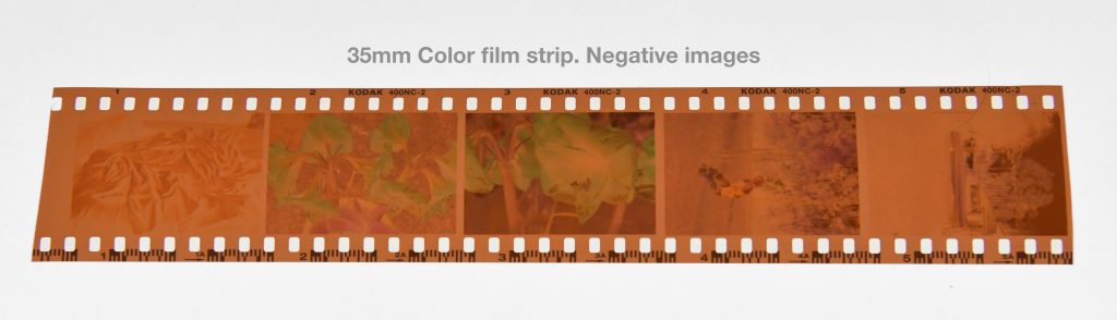 35 mm color film strip. negative images