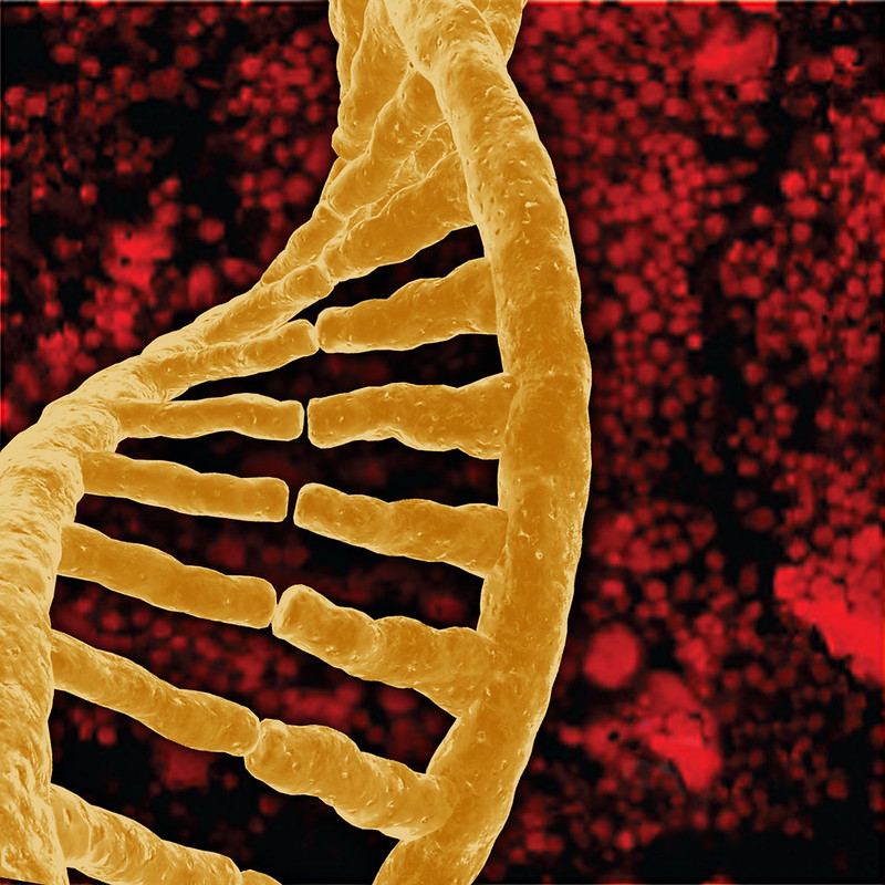 Photo of viral DNA