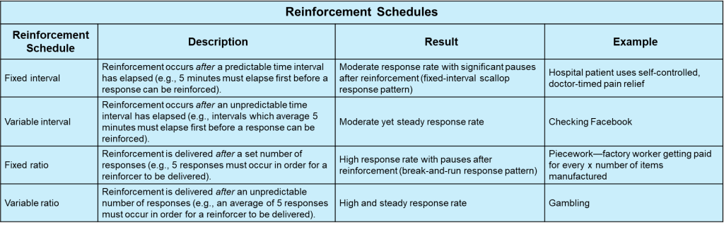 Table 6.3: Reinforcement Schedules. The first column lists the type of "Reinforcement Schedule. The second column provides a "Description" of the reinforcement schedule. The third column shows the "Result" of the reinforcement schedule in terms of learning, and the final column provides an "Example," of the reinforcement schedule.